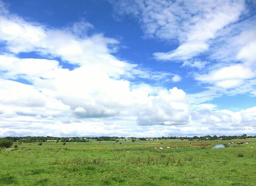 blue ireland sky green galway clouds europe cows eire pastureland