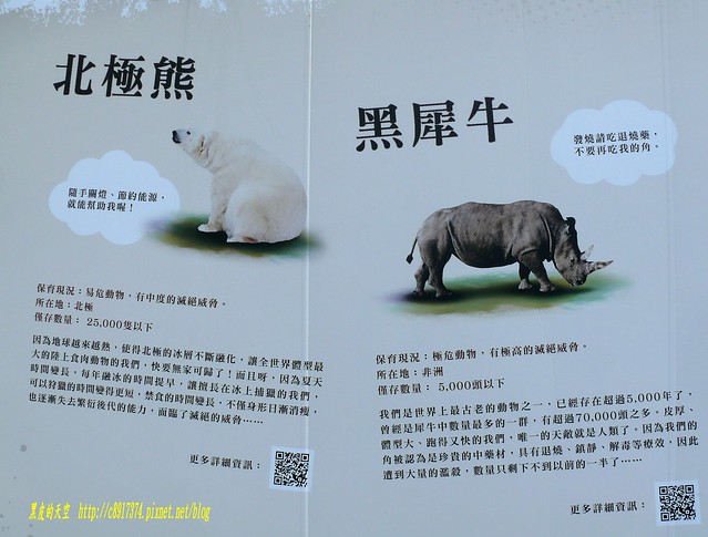 2014 0323紙貓熊世界之旅首站在台北020
