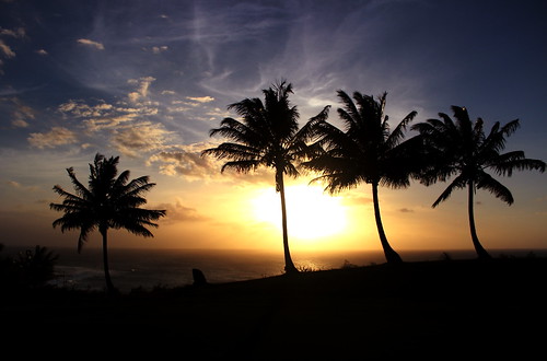 trees sun nature puerto landscapes seascapes sunsets palm rico caribbean skyscapes