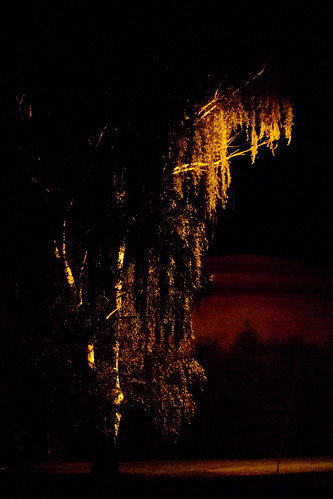 lighting light tree night newhampshire nh