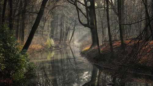 park trees mist netherlands fog forest sunrise reflections lumix nevel bomen stream estate nederland panasonic bos f28 dmc 1235 vario overveen landgoed reflecties elswout zonsopkomst gh3 beekje buitenhuis 1235mm