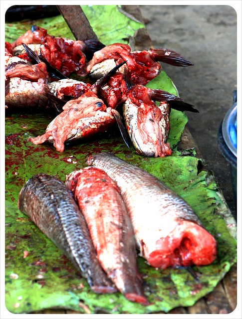 battambang market fish
