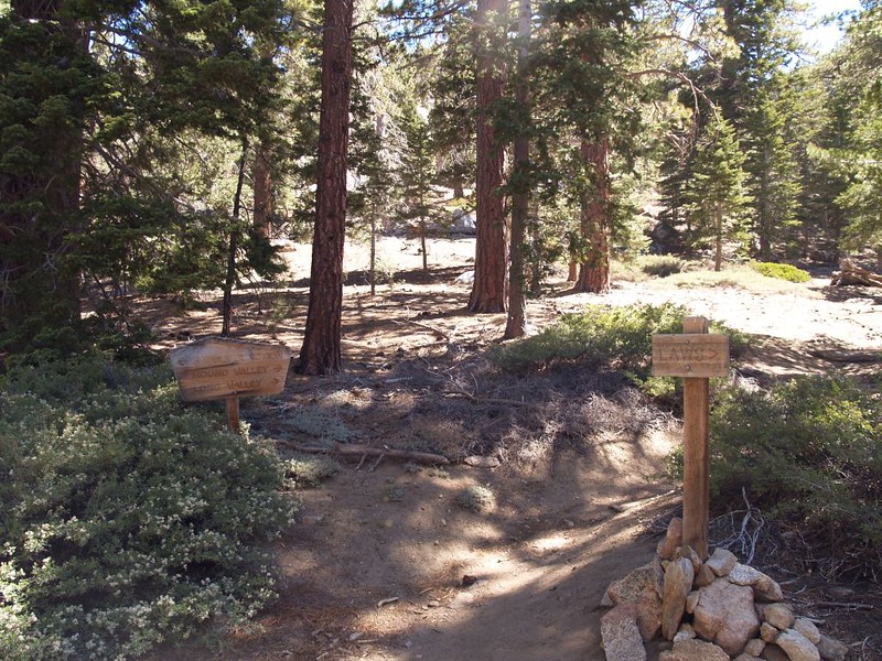 The far end of the Willow Creek Trail where we turn for Laws Camp