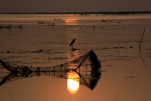 water sunrise amanecer refection deltebre deltadelebre pemisera