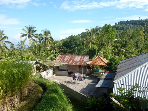 Bali-Munduk-Rizieres (16)