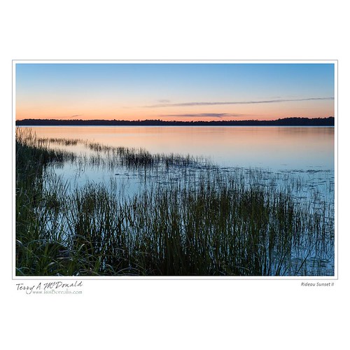 sunset ontario canada island evening glow dusk cottagecountry cattails marsh wetland timing