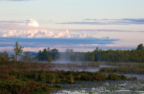 morning mist clouds creek layers