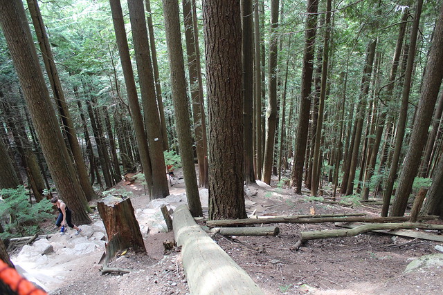Grouse Grind Trail