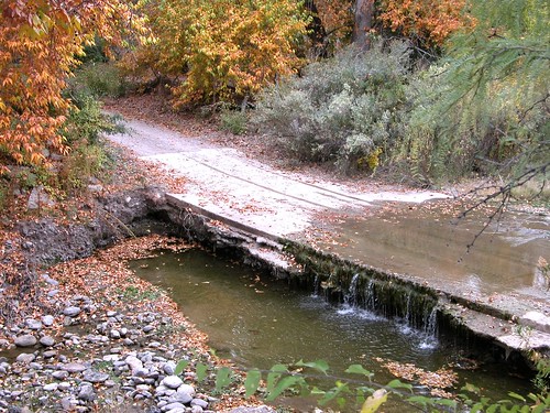 autumn fall riograndevalley