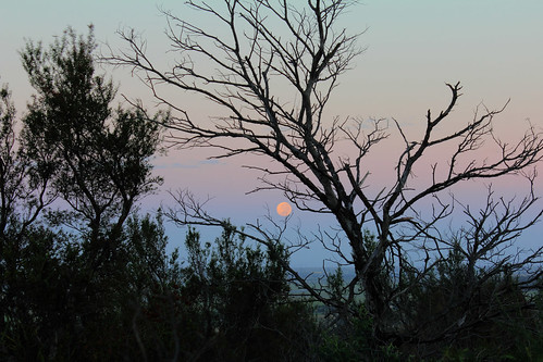 Full moon setting over Gellibrand Hill 2012-04-07 (_MG_6140_1_2)