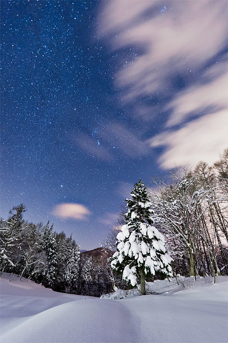 sky snow japan night stars nagano tsugaikekogen ef1635mmf28liiusm canoneos5dmarkii phijomo philipjmonahan
