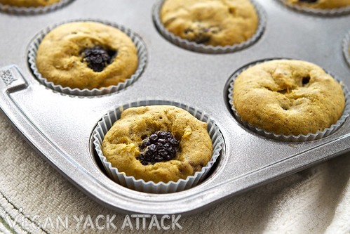 Moist blackberry mango muffins with occasional crunches of pistachios are great for breakfast or a snack! Vegan, soy-free