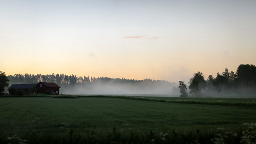 morning trees house field june fog night sunrise sweden fields dalarna fors avesta dalarnacounty