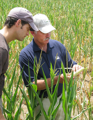 Under Secretary for Farm and Foreign Agriculture Service Michael Scuse (right) discusses the damage to an Indiana corn crop caused by the drought. Since being implemented in April, USDA’s disaster assistance programs have helped more than 146,000 farmers recover from natural disasters, including drought. 