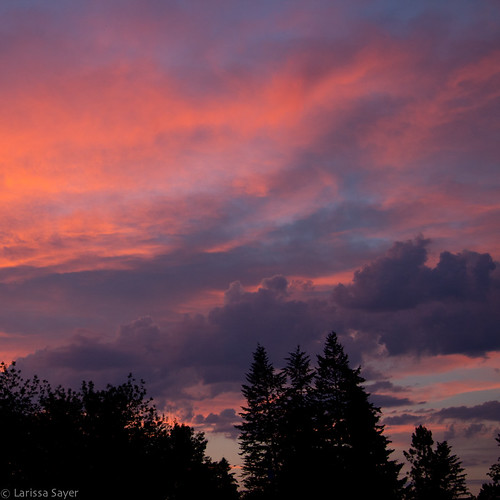 travel pink sunset summer sky canada silhouette clouds purple britishcolumbia eastkootenay canalflats kootenayvalley