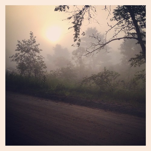 fog sunrise square morninglight foggy squareformat dirtroad ranchrudolf iphoneography instagram iphone4s