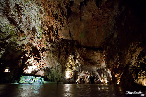 Cueva de Postojna (Eslovenia)