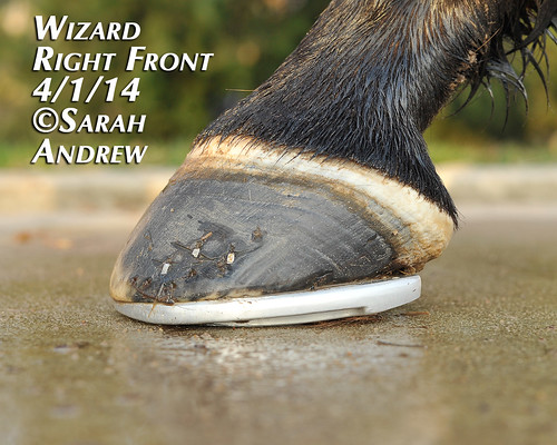 Wizard's hooves: 4/1/2014