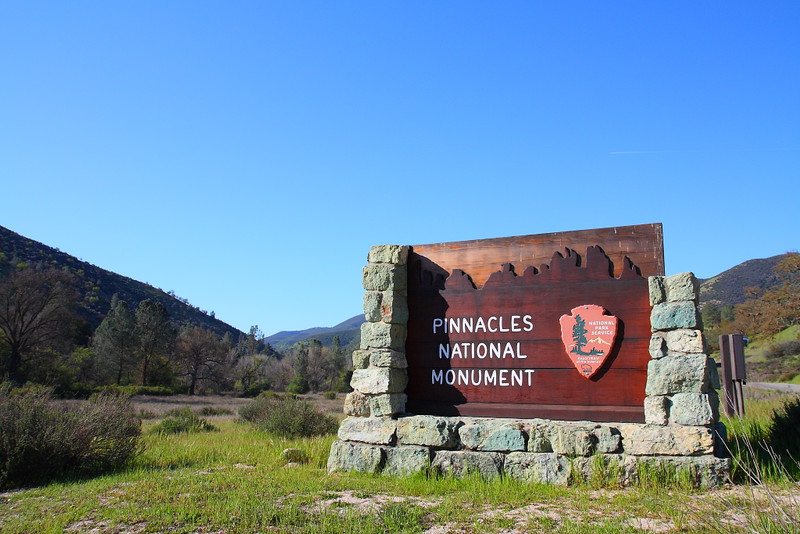 IMG_8592 Pinnacles National Park