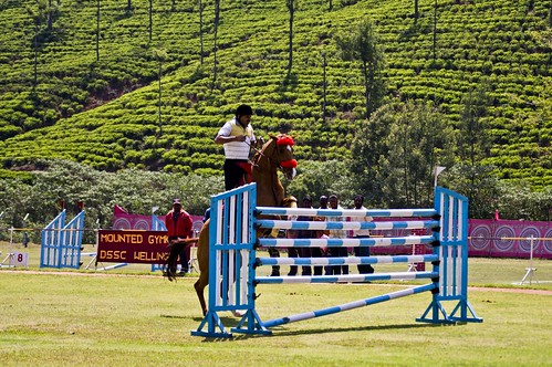 horse jump rider showjumping boldrider imposiblejump