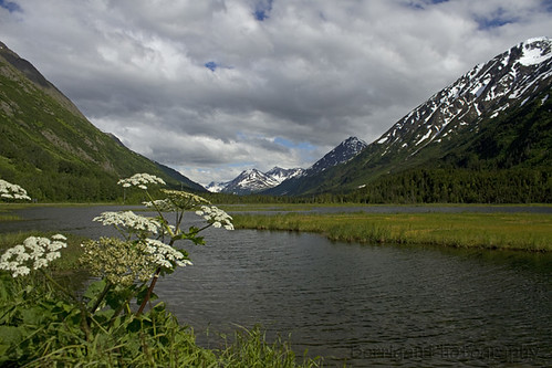 travel summer usa lake mountains nature alaska canon outdoors scenic tern