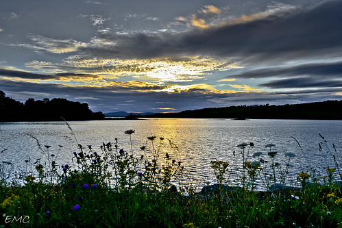 flowers ireland sunset sky terrain sun seascape nature water grass clouds river skyscape landscape flora nikon inch scenery lough waves view hill scenic places landmark eire hills donegal irlande waterscape loughswilly inchisland irlandi d3100 nikond3100