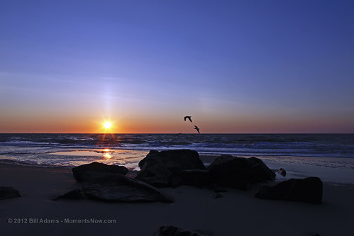birthday beach sunrise seagull maryland oceancity atlanticocean canonef2470mmf28lusm