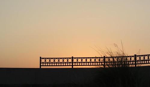 sunrise fence dallas texas whiterocklake