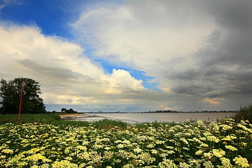 flowers trees summer sky nature water weather clouds germany landscape europe wideangle weser conditions notherngermany