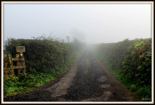 road morning autumn mist path farm northyorkshire brompton firtreefarm wipeoutdave canoneos1100d djs2012 yahoo:yourpictures=myautumn