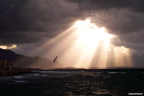 ocean sunset sea italy sun seagulls art nature clouds sadness italia tramonto nuvole mare artistic natura finepix sicily fujifilm hd sole palermo sicilia gabbiano oceano s2500hd nerho giancarlonuccio nerho84