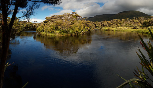 newzealand water river bush hut tramping flax stewartisland rakeahua