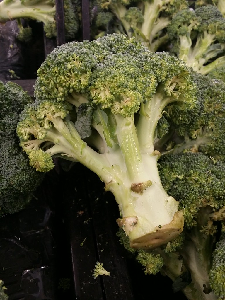 Cruelty yo Broccoli