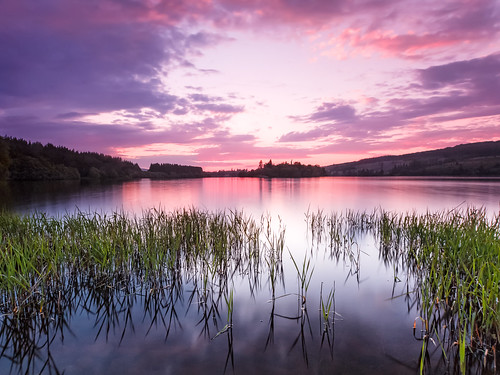 longexposure sunset sky clouds reeds scotland twilight unitedkingdom mauve loch moy invernessshire 2016