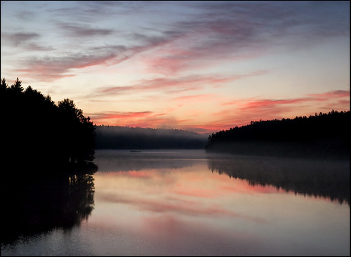 cloud lake ontario tree roddick water sunrise dale