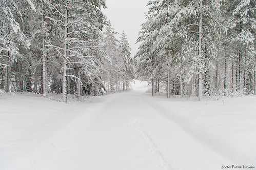 winter snow vinter spring al pentax sweden may ii sverige 18 55 snö patrik maj vår luleå överkalix norrbotten engman övertorneå k20d raitajärvi