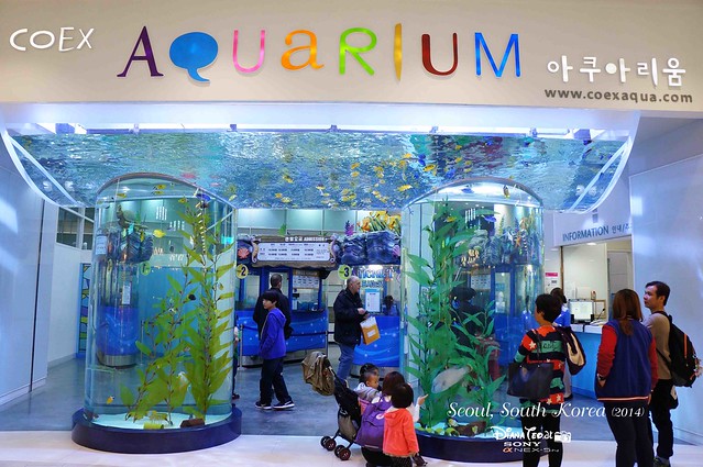 South Korea 2014 - Seoul Coex Aquarium 01