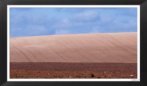 champs terre paysage contrastes nuances loiret nikond90