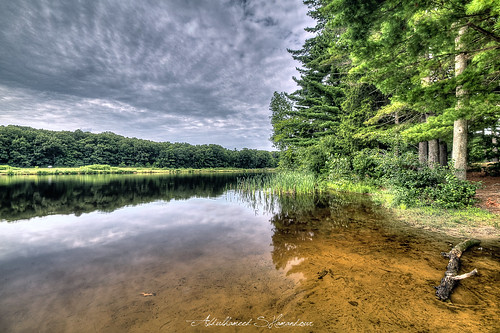 usa tree water beauty boston river landscape ma photography photo chaos ashes syria mass scape damascus hdr waterscape hopkintonstatepark abdulhameedwaheedshamandour