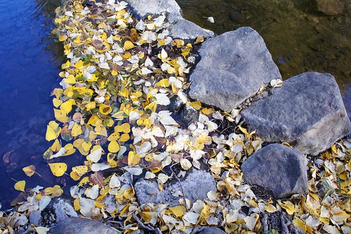 autumn plants nature landscapes seasons rivers stockcategories autumnleafcolors e1855mmf3556oss