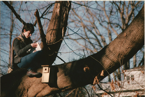 Reading in Trees