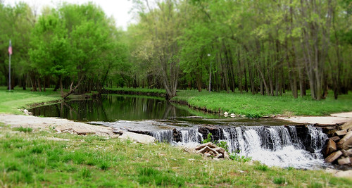 art nature water spring nikon place defendersofwildlife