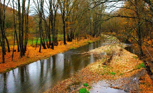 autumn trees france reflection fall automne river landscape europe orb rivière reflet arbres paysage 34 feuilles fleuve languedocroussillon hérault