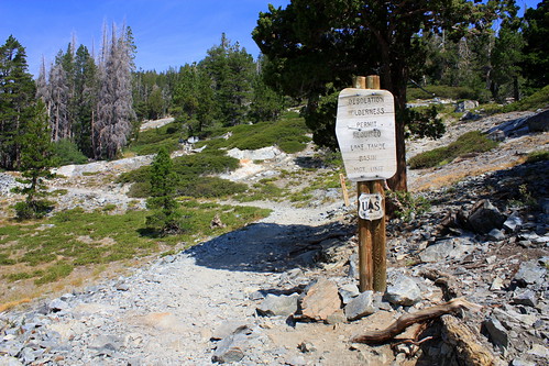 california trees sign hiking trail pacificcresttrail desolationwilderness eldoradocounty wildernessarea