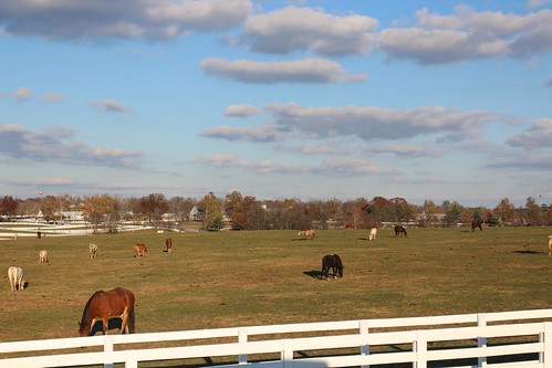 Day 94: Kentucky Horse Park in Lexington.