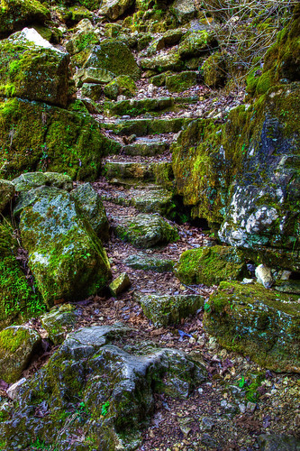 old green stone moss stair walk peaceful calm serene