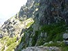Les aulnes du versant Scaffone vers 1700m d'altitude