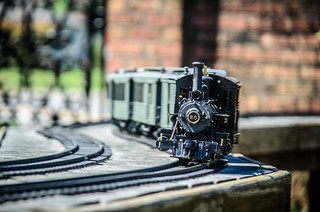 Model Steam Trains-50