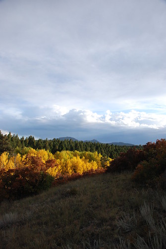 blue autumn trees sky orange cloud mountains tree green fall nature leaves yellow clouds forest rockies golden leaf colorado colorful view ground aspen coloradorockies