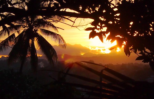 sunset sun silouette palm honiara